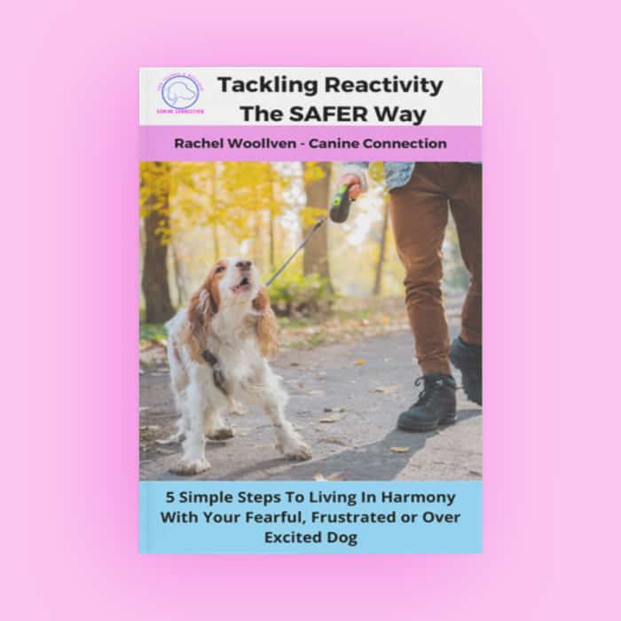 Reactivity and your dog Ebook