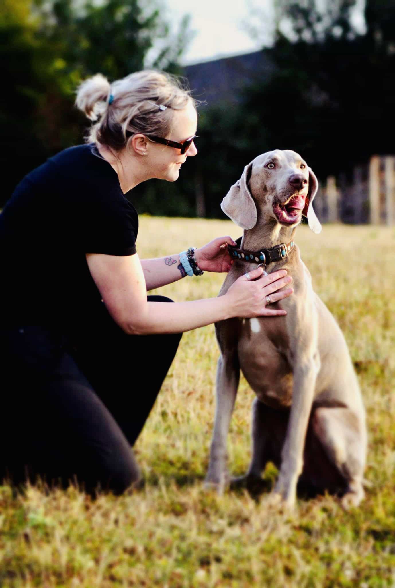 32EE005D 4D79 4005 9B85 13C40F2417C2