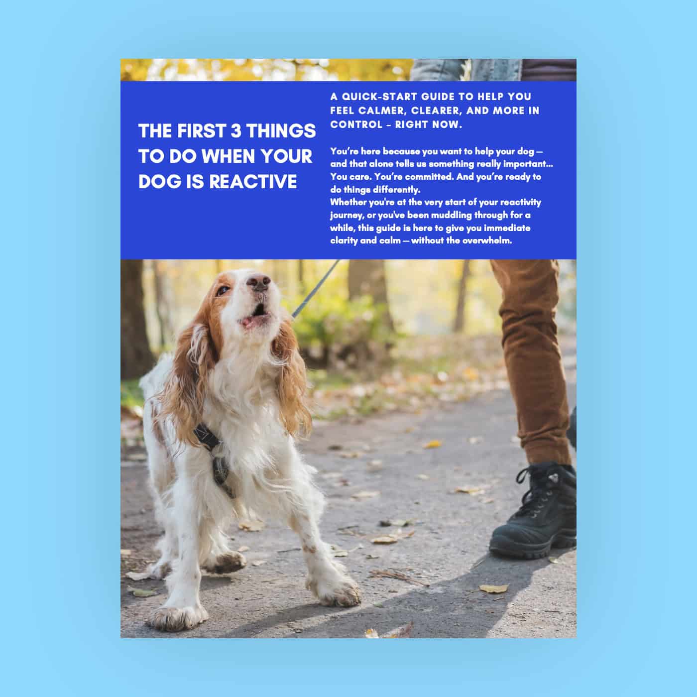3 Things You Can Do Today to Help Your Reactive Dog free guide